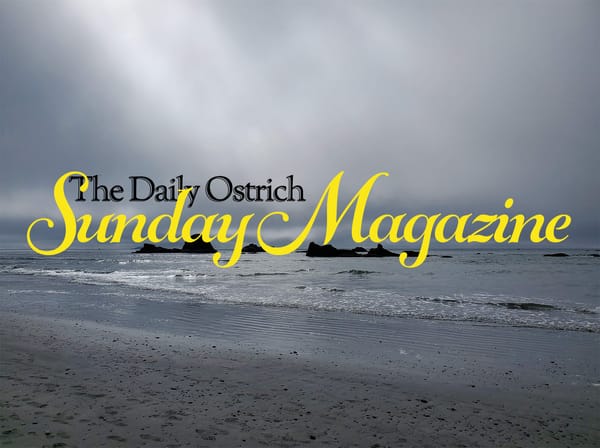 "The Daily Ostrich Sunday Magazine" over a dismal, cloudy beach head.