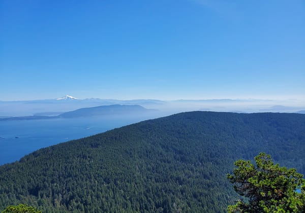 A rolling, tree-covered hillside with the bright blue Salish Sea behind it, and the Cascade Mountains rising from the mist be