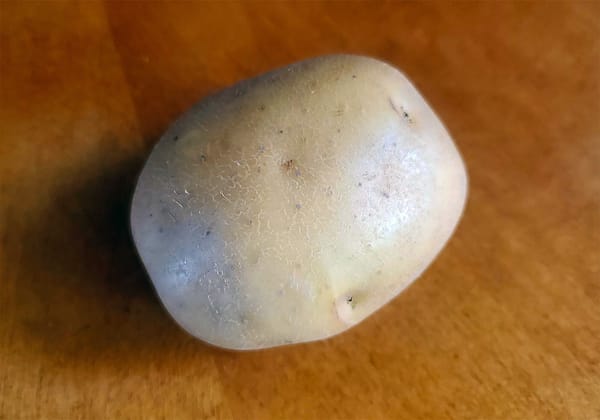 One Yukon Gold potato on a polished mahogany writing desk.