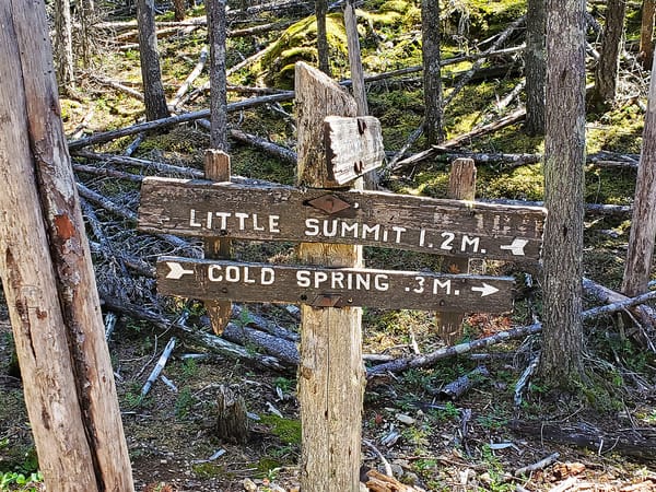 A rustic signpost in a green forest, indicating Little Summit to the left, and Cold Spring to the right.